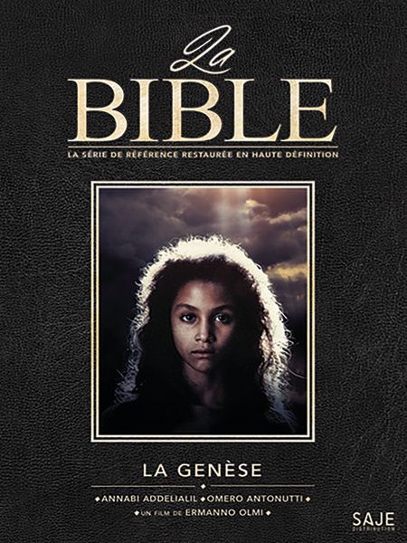 Affiche du film La Genèse - La série la Bible