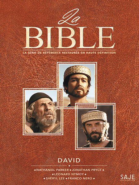 Affiche du film David - La série la Bible